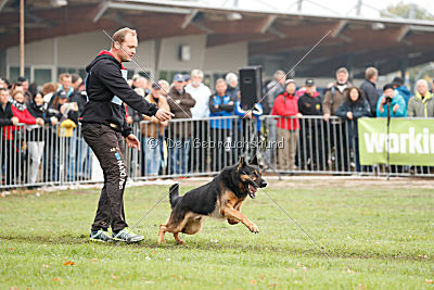 Joseph vom Maulachtal