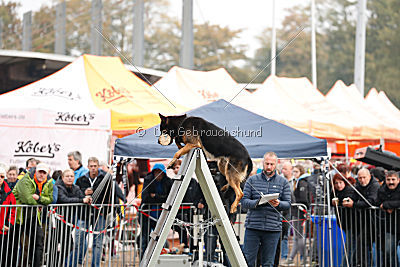 Joseph vom Maulachtal