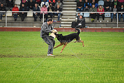 Joseph vom Maulachtal