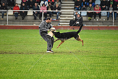 Joseph vom Maulachtal