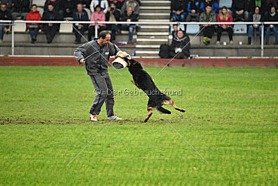 Joseph vom Maulachtal