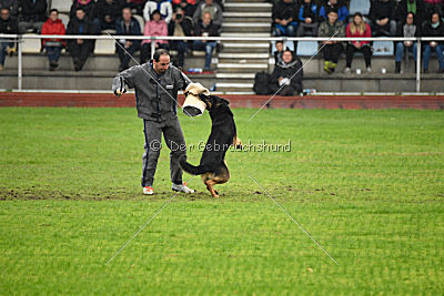 Joseph vom Maulachtal