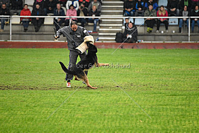 Joseph vom Maulachtal