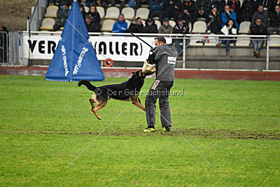 Joseph vom Maulachtal