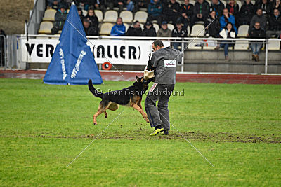 Joseph vom Maulachtal