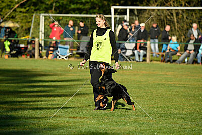Joyce aus der Bohmter Heide