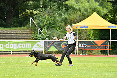 Joyce aus der Bohmter Heide