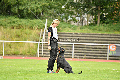 Joyce aus der Bohmter Heide