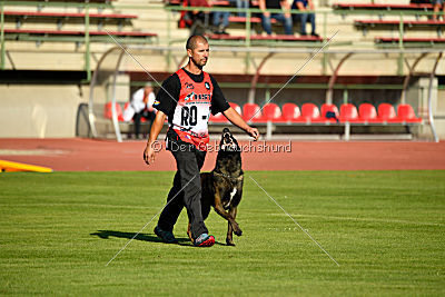 Julius canis Apache