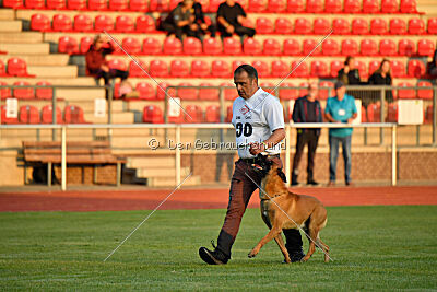 Jussuf vom Haus Mecki