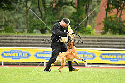 Jussuf vom Haus Mecki