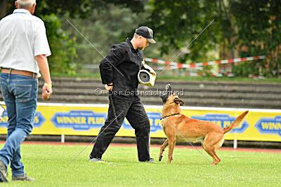 Jussuf vom Haus Mecki