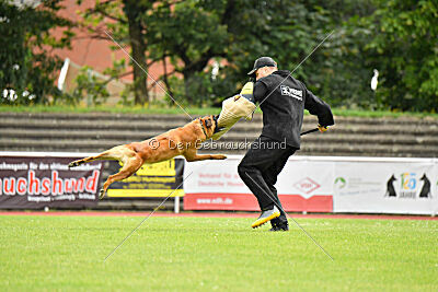 Jussuf vom Haus Mecki