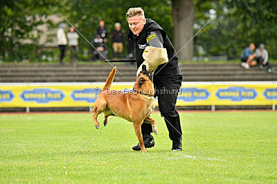 Jussuf vom Haus Mecki