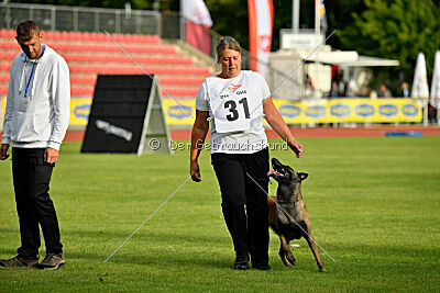 Just Smile vom Streitwald