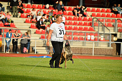 Just Smile vom Streitwald