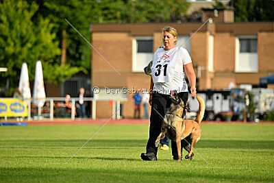 Just Smile vom Streitwald