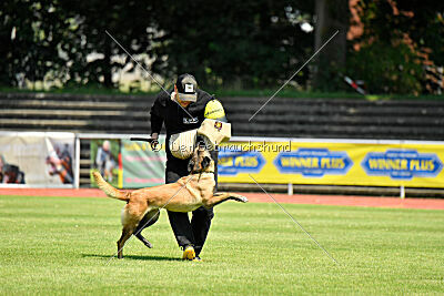 Just Smile vom Streitwald