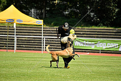 Just Smile vom Streitwald