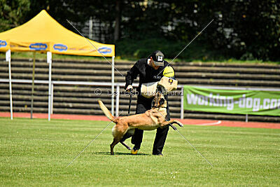 Just Smile vom Streitwald