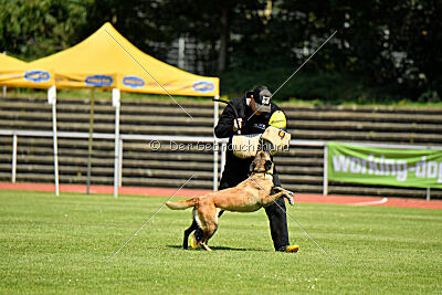 Just Smile vom Streitwald