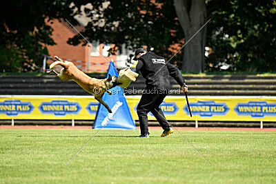 Just Smile vom Streitwald