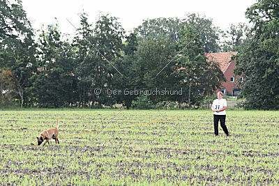 Just Smile vom Streitwald