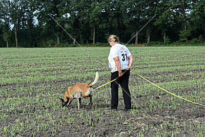 Just Smile vom Streitwald