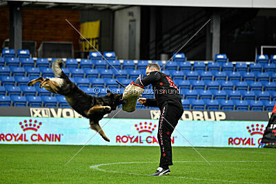 Kamikaze of Fond Verite