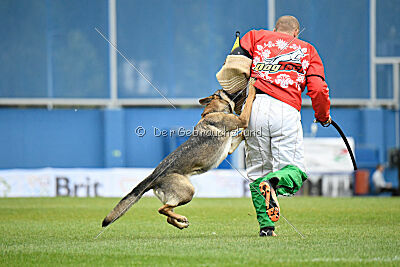 Kanikular Blast of Bindee