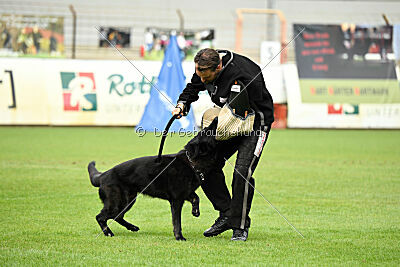 Kanto von der Mooreiche