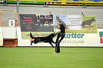 Kanto von der Mooreiche