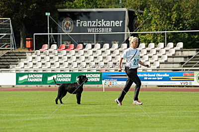 Kara Mia vom Lindelbrunn