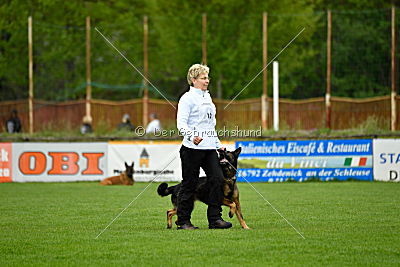 Karamba von der Friesenklippe