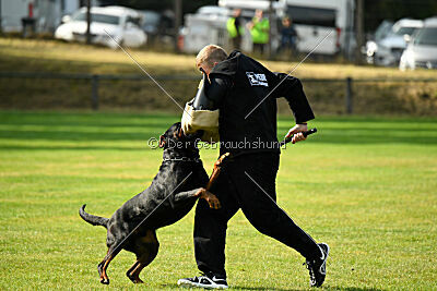 Karl vom Hause Neubrand III