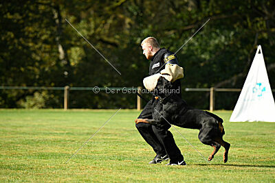 Karl vom Hause Neubrand III