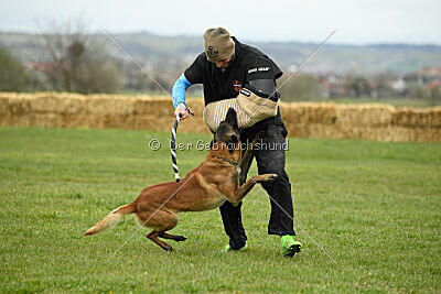 Karlo vom Lausitzeck