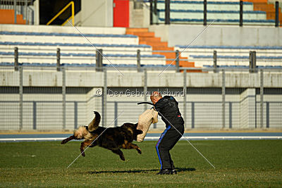 Kasmo 't Palmaleinehof