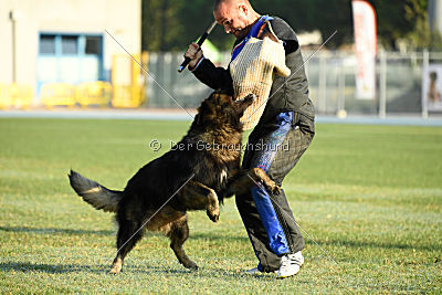 Kasmo 't Palmaleinehof