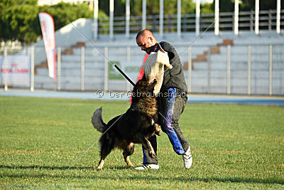 Kasmo 't Palmaleinehof