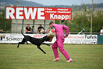 Katha Strophe vom Ravener Forst