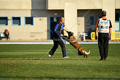 Kay les Bétulacées