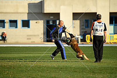 Kay les Bétulacées