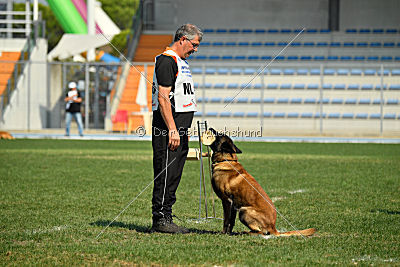 Kay les Bétulacées