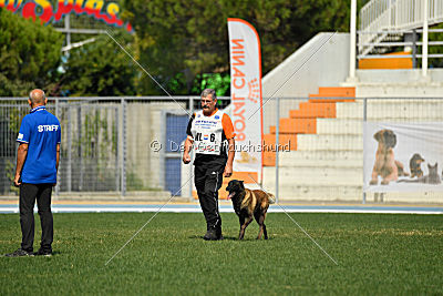 Kay les Bétulacées