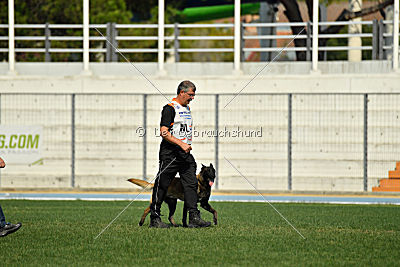 Kay les Bétulacées