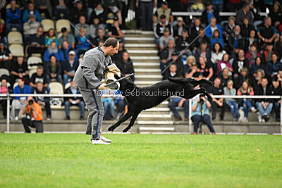 Kayano von der Zwitscherklause