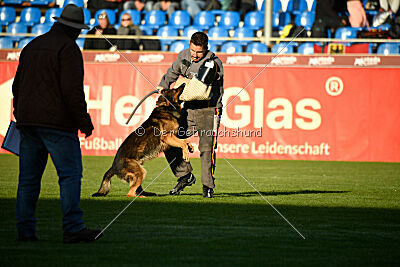 Keiko von der Edermündung