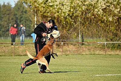 Kelly Extra Temperament