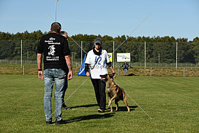 Kelly Extra Temperament